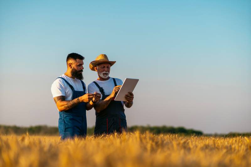 Des forfaits data machine to machine (M2M) performants en région Sud et partout en France